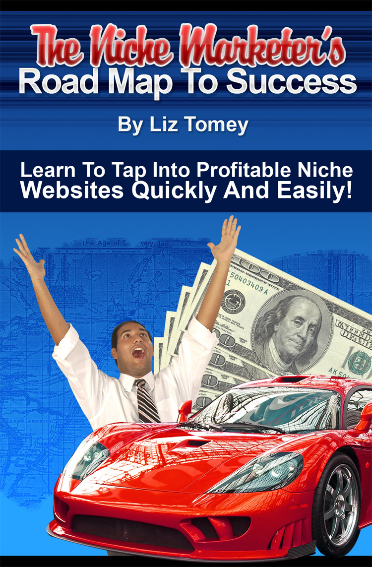 The Niche Marketer S Road Map To Success